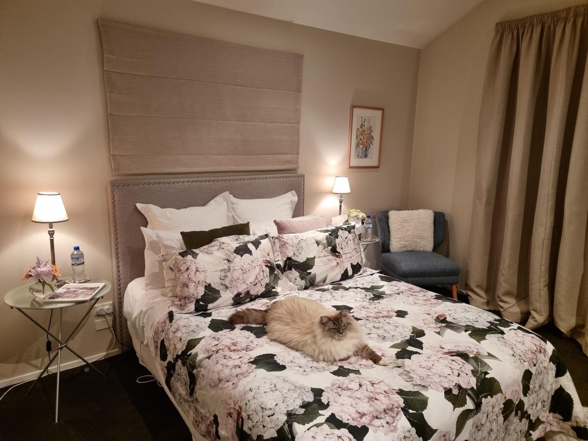 Haven Sanctuary Suite With Private Entrance 皇后镇 外观 照片